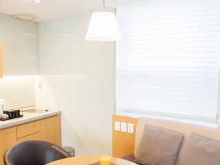 Cordless Blinds and Shades | West Coast Motorized Shades Experts CA Cordless Roman Shades in a Modern Living Room