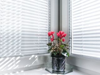 The Cheapest Way to Cover a Window | Mountain View The Cheapest Way to Cover a Window | Mountain View CA