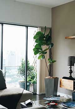 New Vertical Blinds, Sunnyvale Living Room