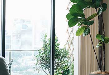 Custom Vertical Blinds | Sunnyvale